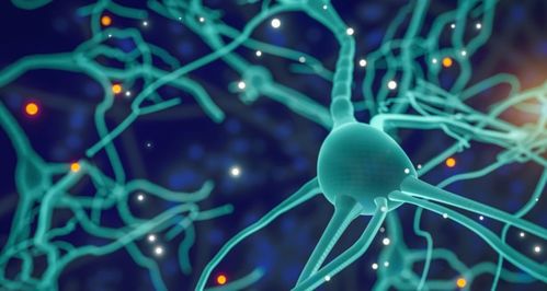 專訪再生生物 像預防疾病一樣抗衰，AI制藥與細胞技術重塑抗衰老未來