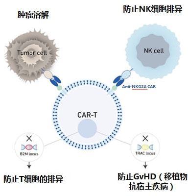 實體瘤CAR-T的破局者 科濟藥業李宗海談全球研發進展、海外布局與下一代技術